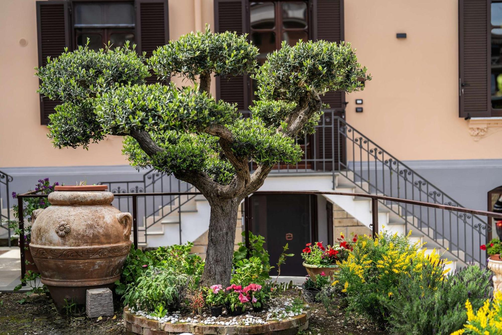 Villa Agostino Luxury B&B Vico Equense Zewnętrze zdjęcie
